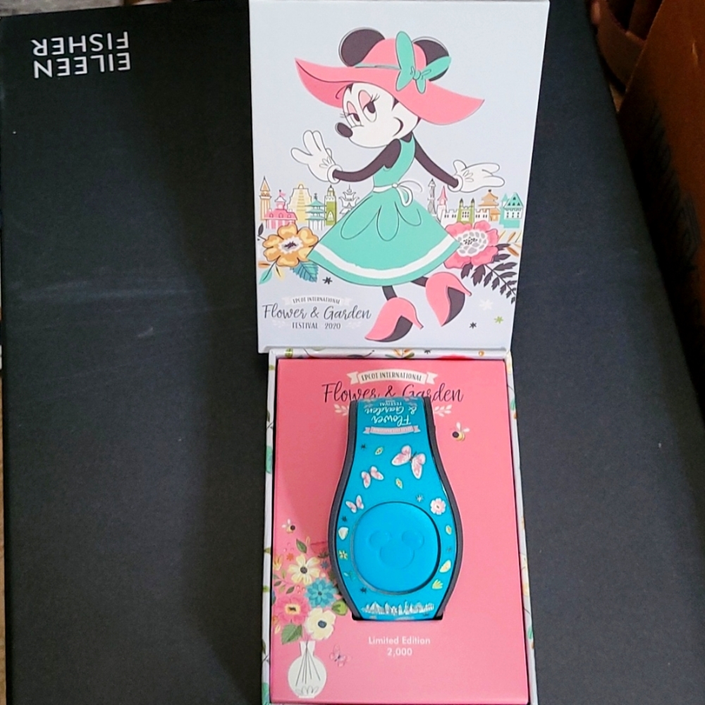 Disney magicband 2